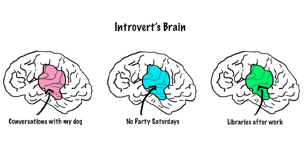 Intro to the Creative Introvert